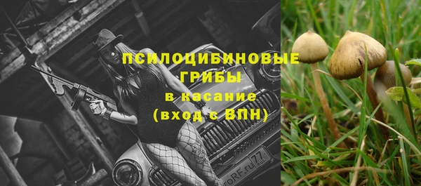 spice Пестово